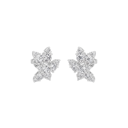 Aster Earring