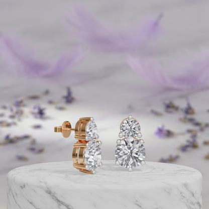 Duet Earring