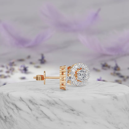 classic Halo Solitaires Earring
